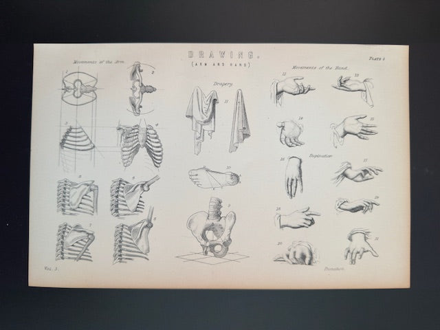 Anatomical diagram of various hand and wrist anatomy on a beige background book plate engraving